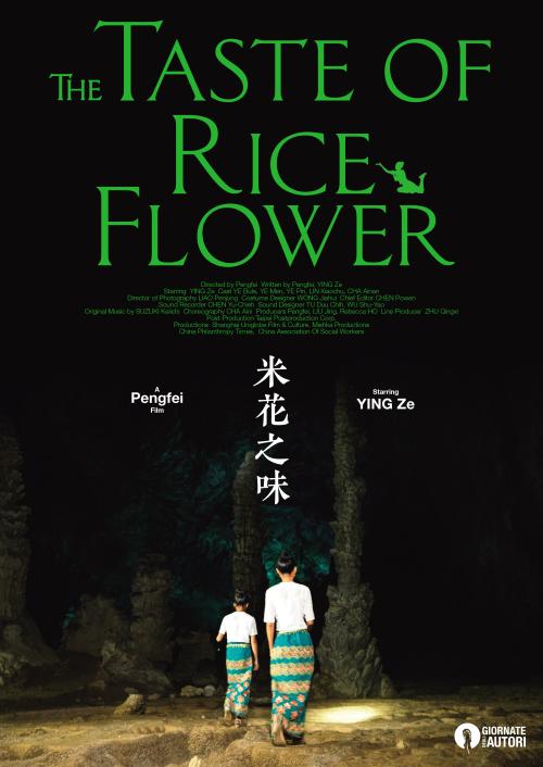 办假的埃塞俄比亚